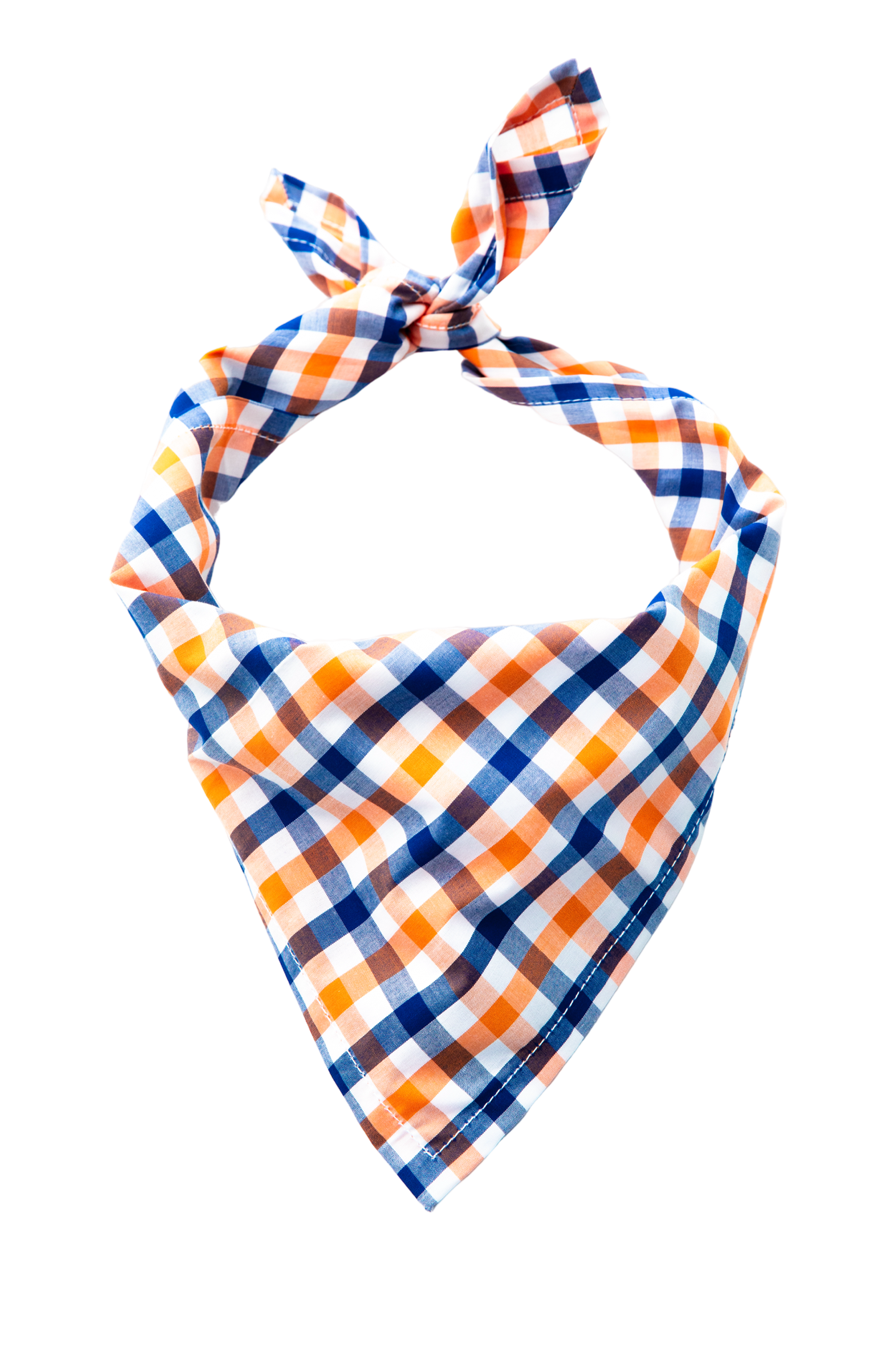 Falmouth Picnic Bandana