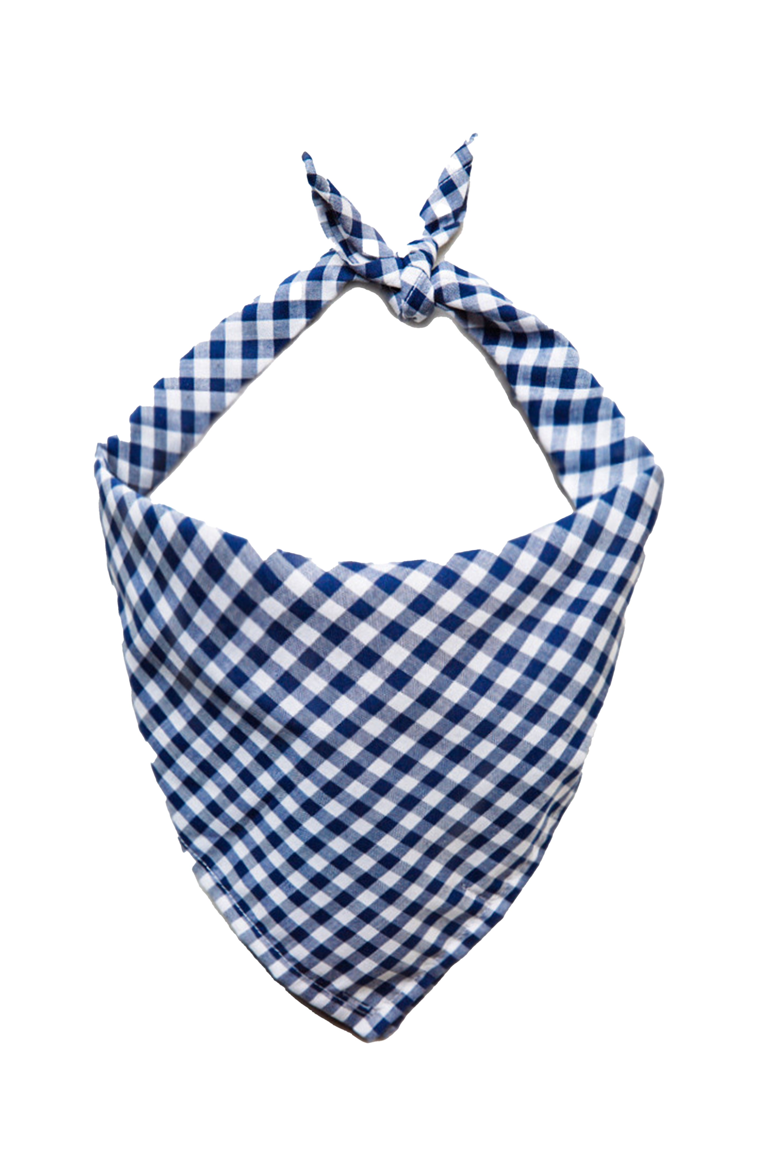 Cape Cod Picnic Bandana