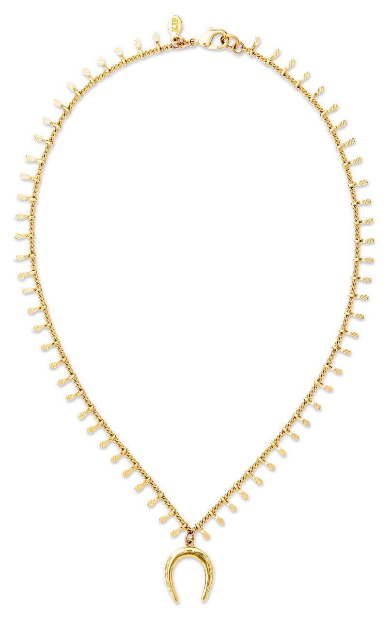 Golden Horseshoe Necklace