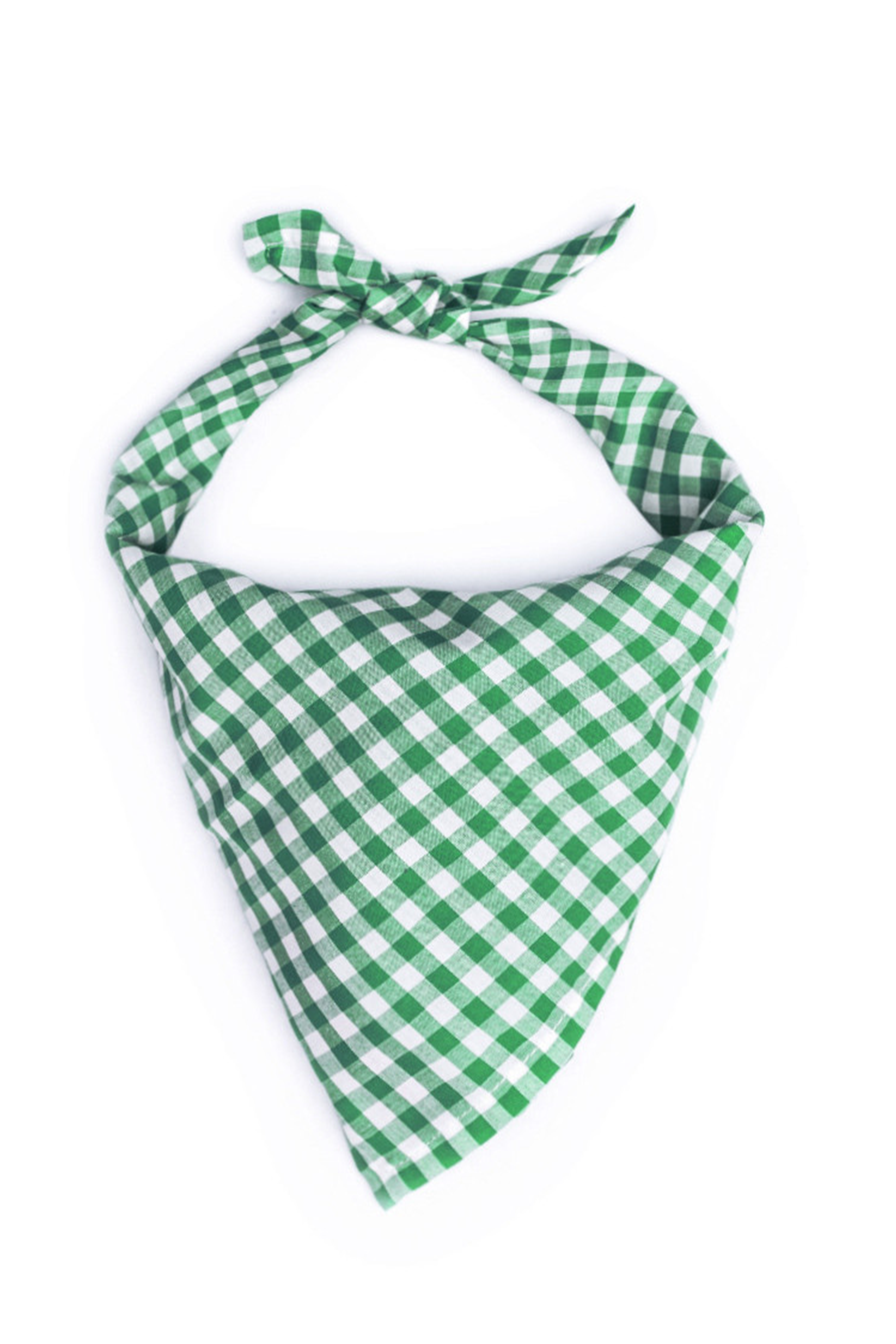 Castle Hill Picnic Bandana