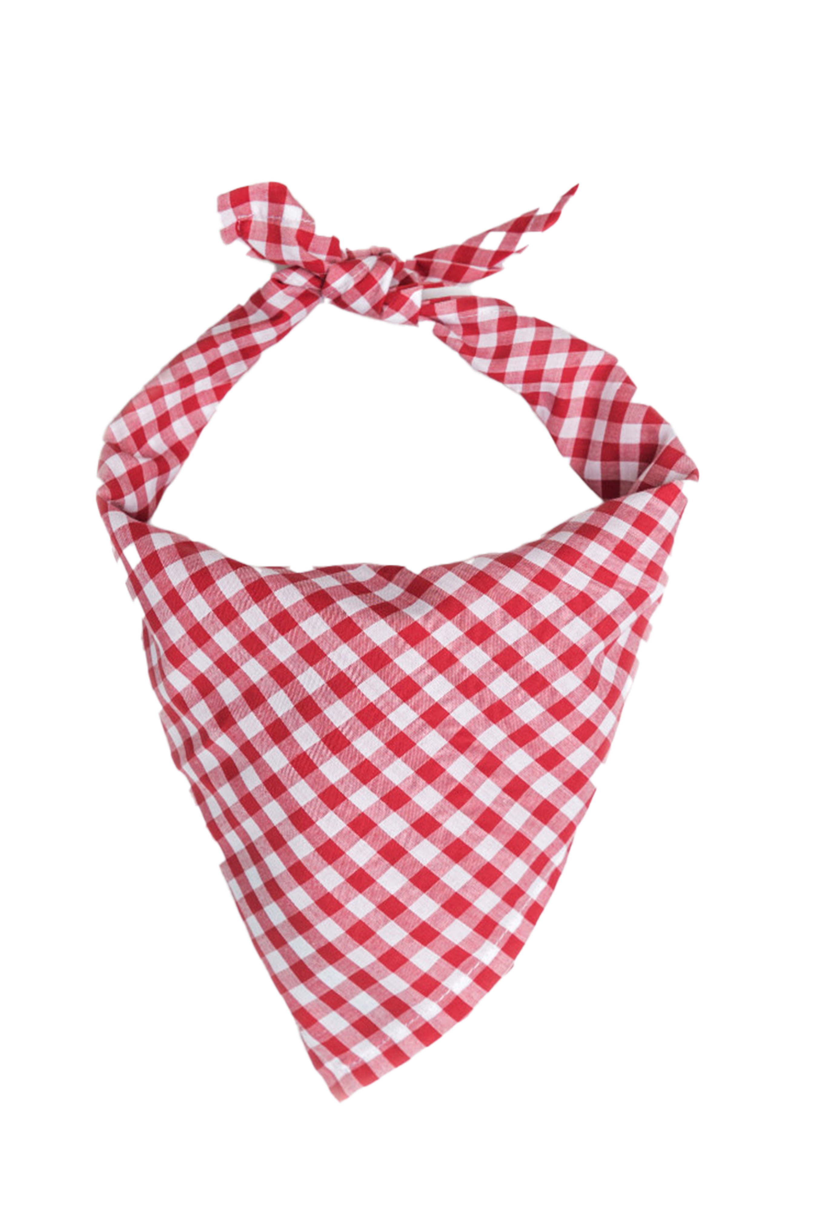 Vineyard Picnic Bandana