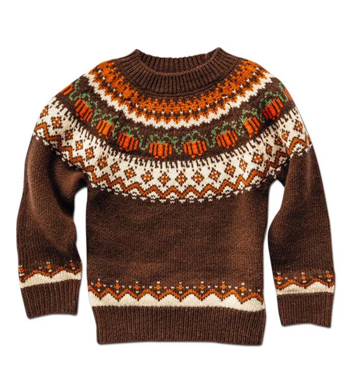 The Cozy Pumpkin Sweater - Kids