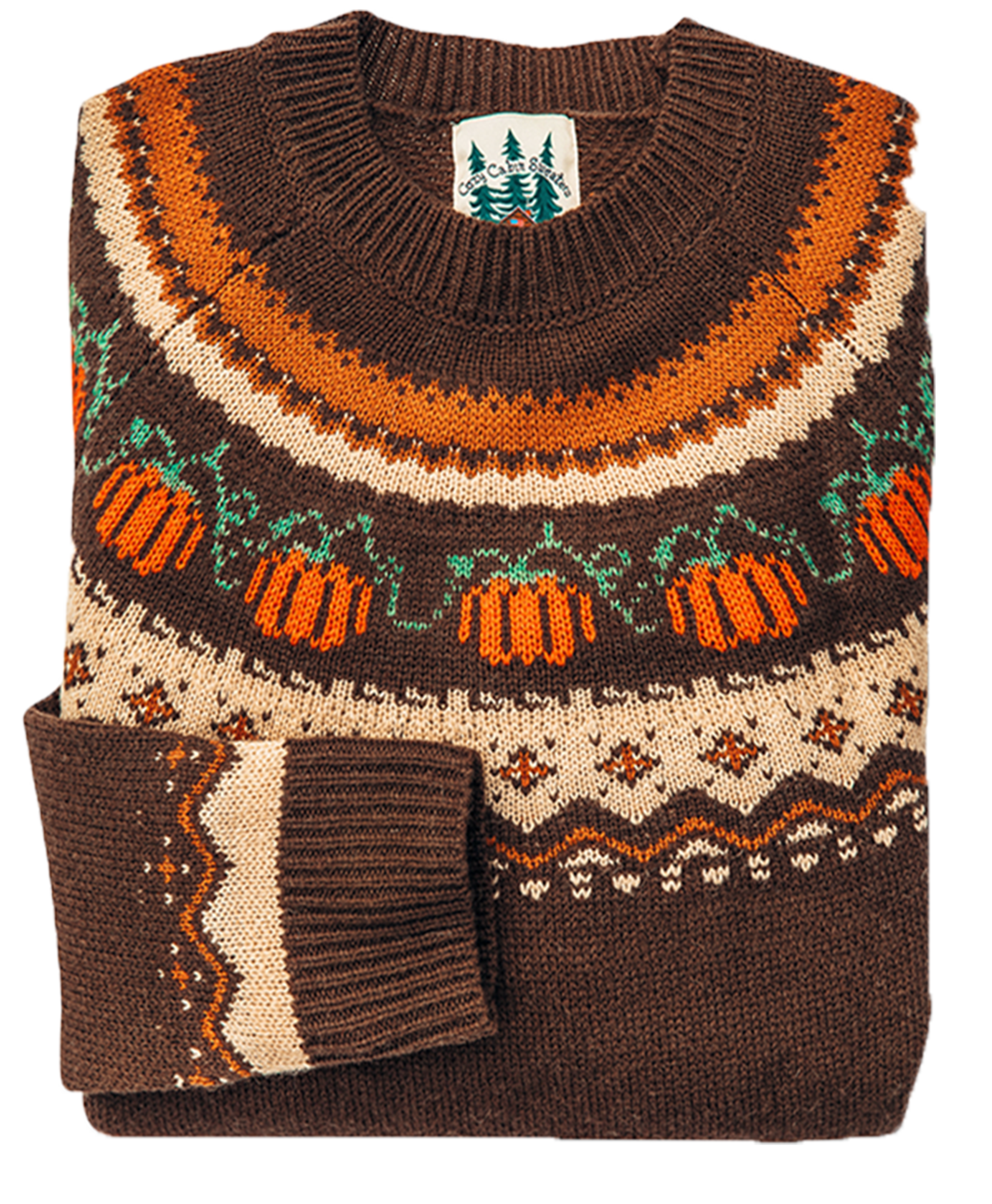 Cozy Pumpkin Sweater in Brown - Women's